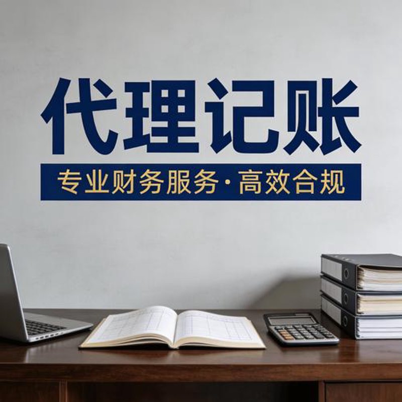 代理记账服务